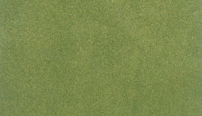 Woodland WOO5121 Spring Grass Mat 50" x 100"