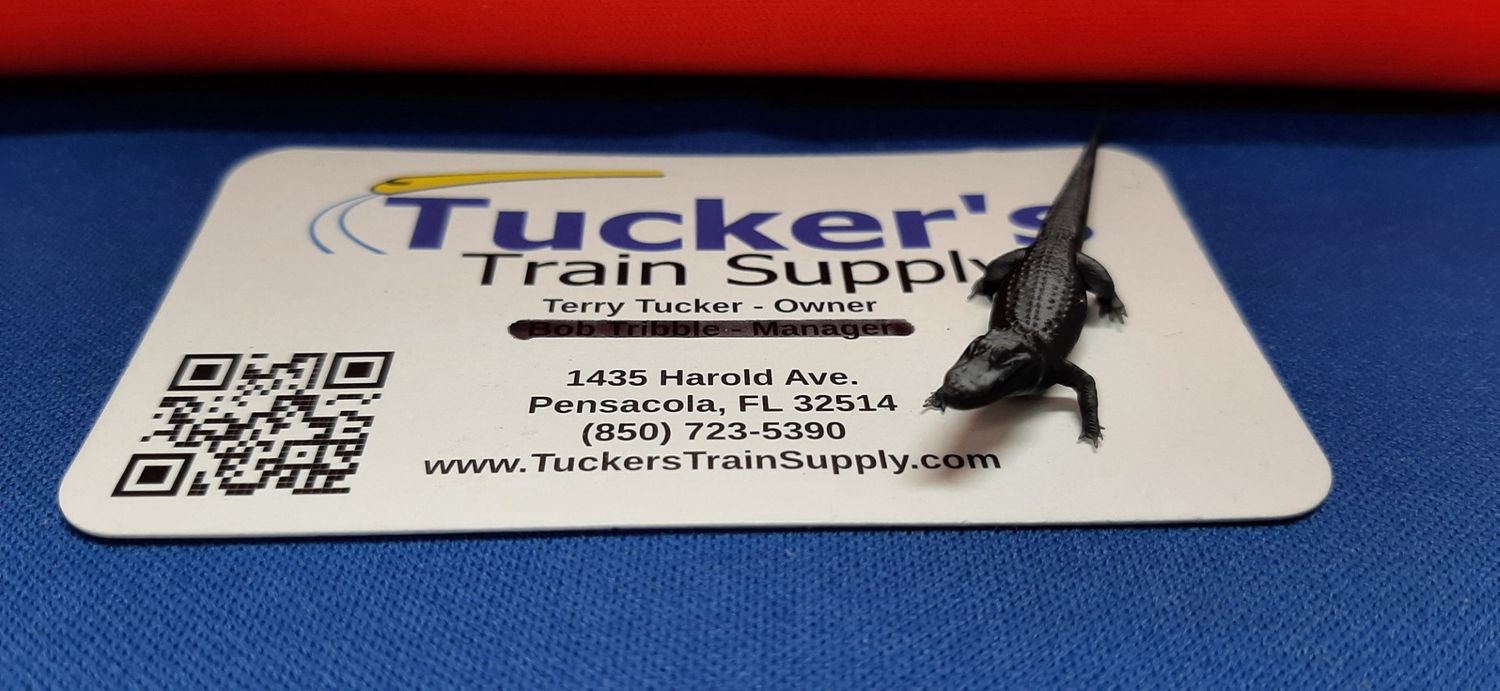 Ho Scale Alligator NO BASE 1:87
