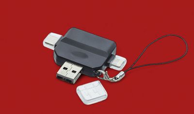 Woodland JS6905 Card Reader