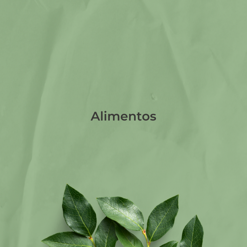 Alimentos