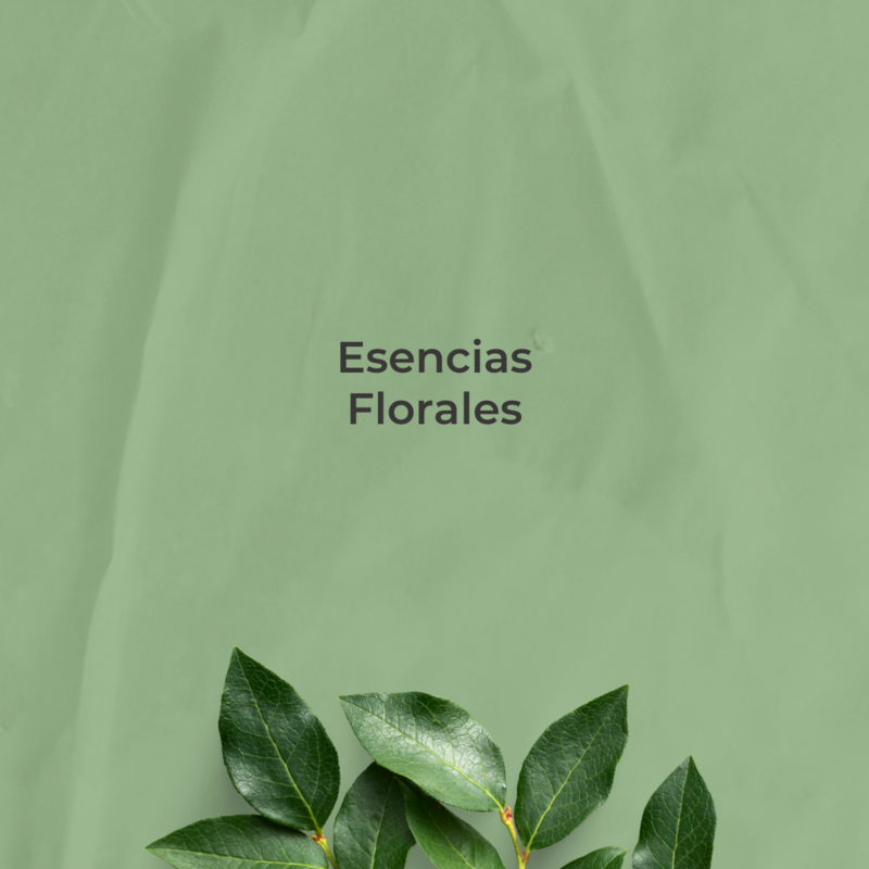 Esencias Florales