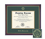 Windsor- Doctorate Diploma frame with Green &amp; Gold Double Mat