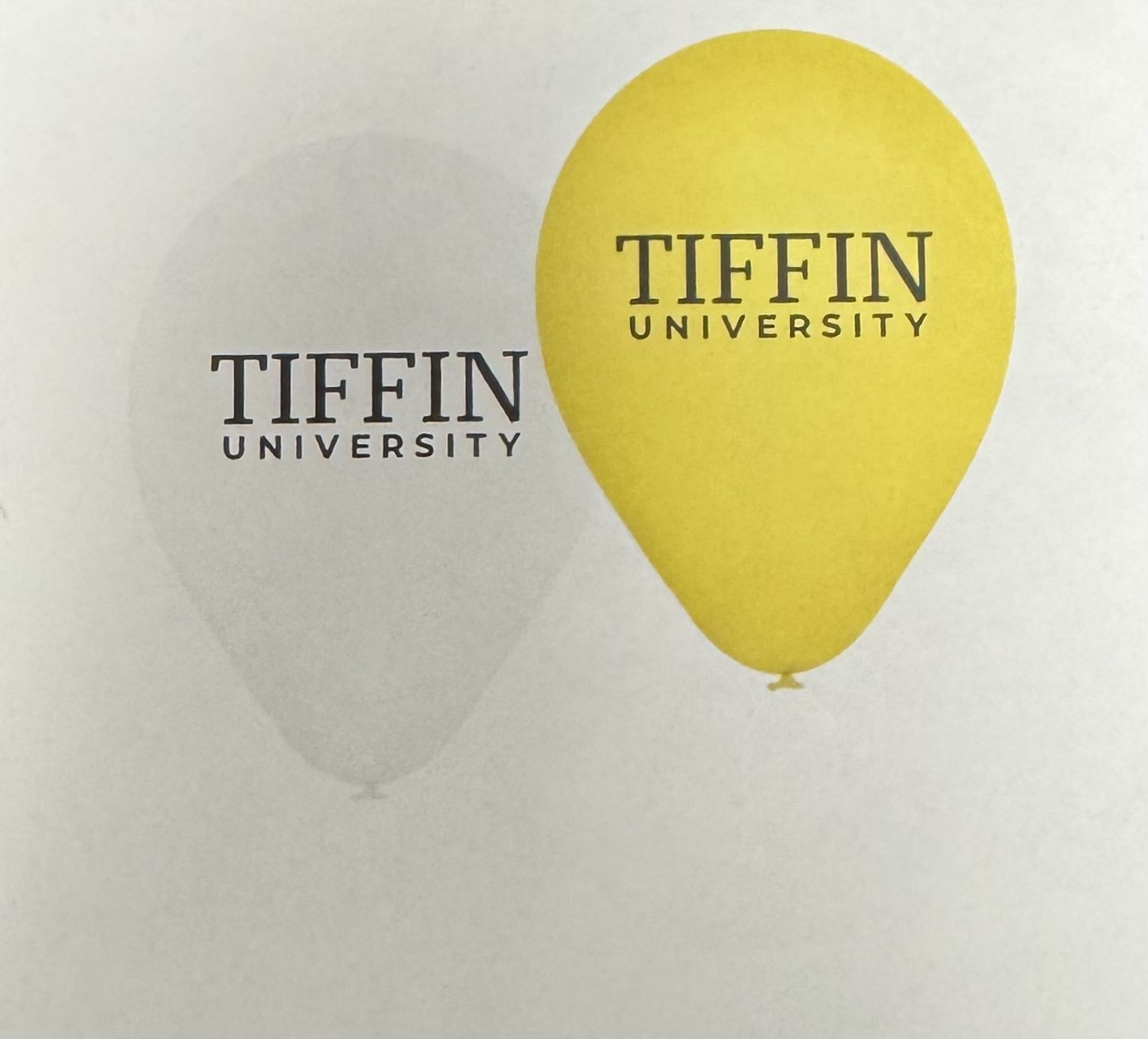 9" Latex Balloons (10pk)