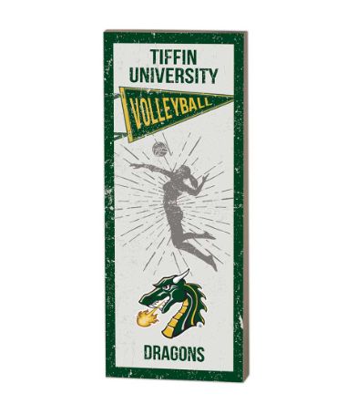 Vintage Player Volleyball Wood Plaque – 7" x 18"