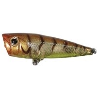 TC POPPER 55