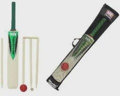 Cricket set