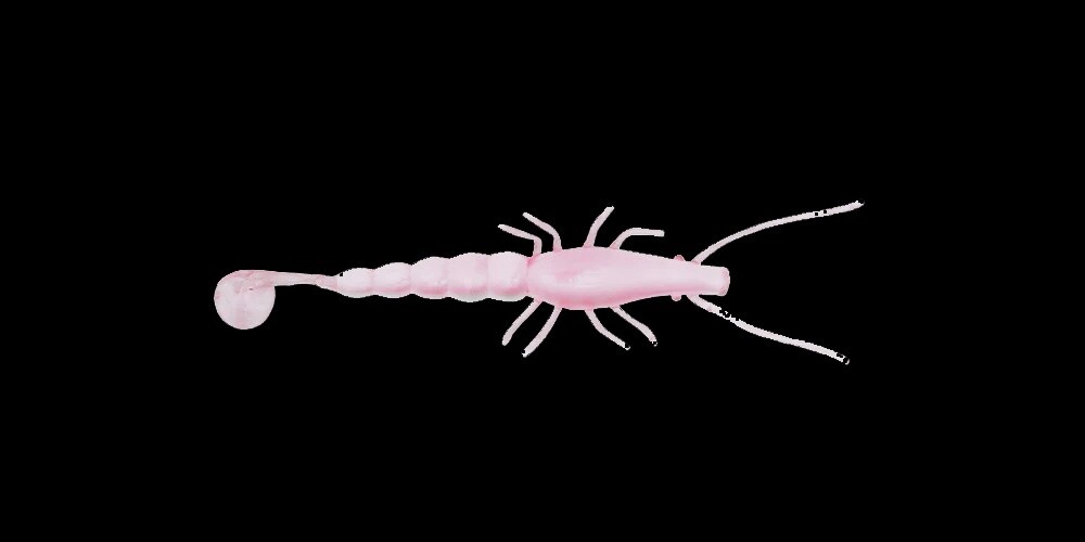 Madeyes Paddle Prawn Jelly Prawn
