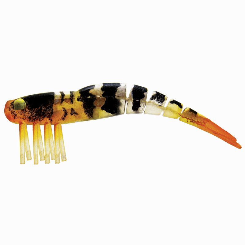 LIVE SHRIMP 5.0