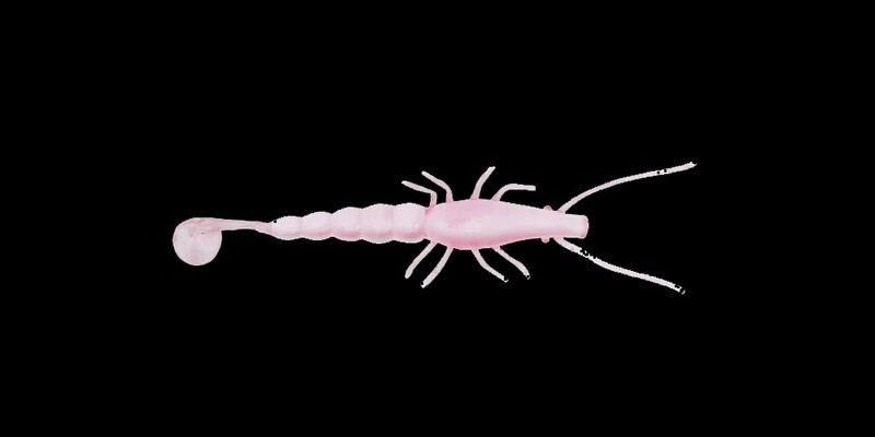 Madeyes Paddle Prawn Jelly Prawn