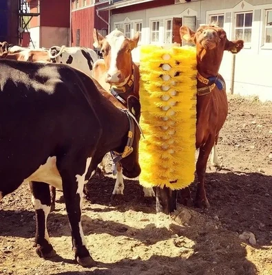 Totem Cow Brush