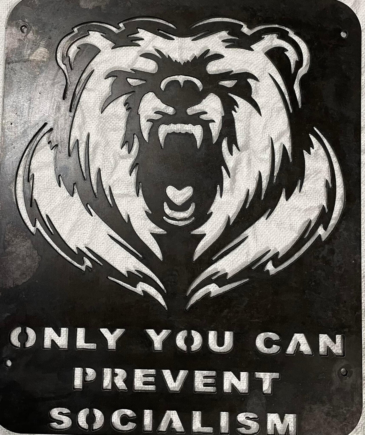 Only You Can Prevent Socialism