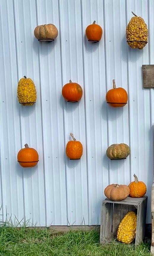 Pumpkin Holders