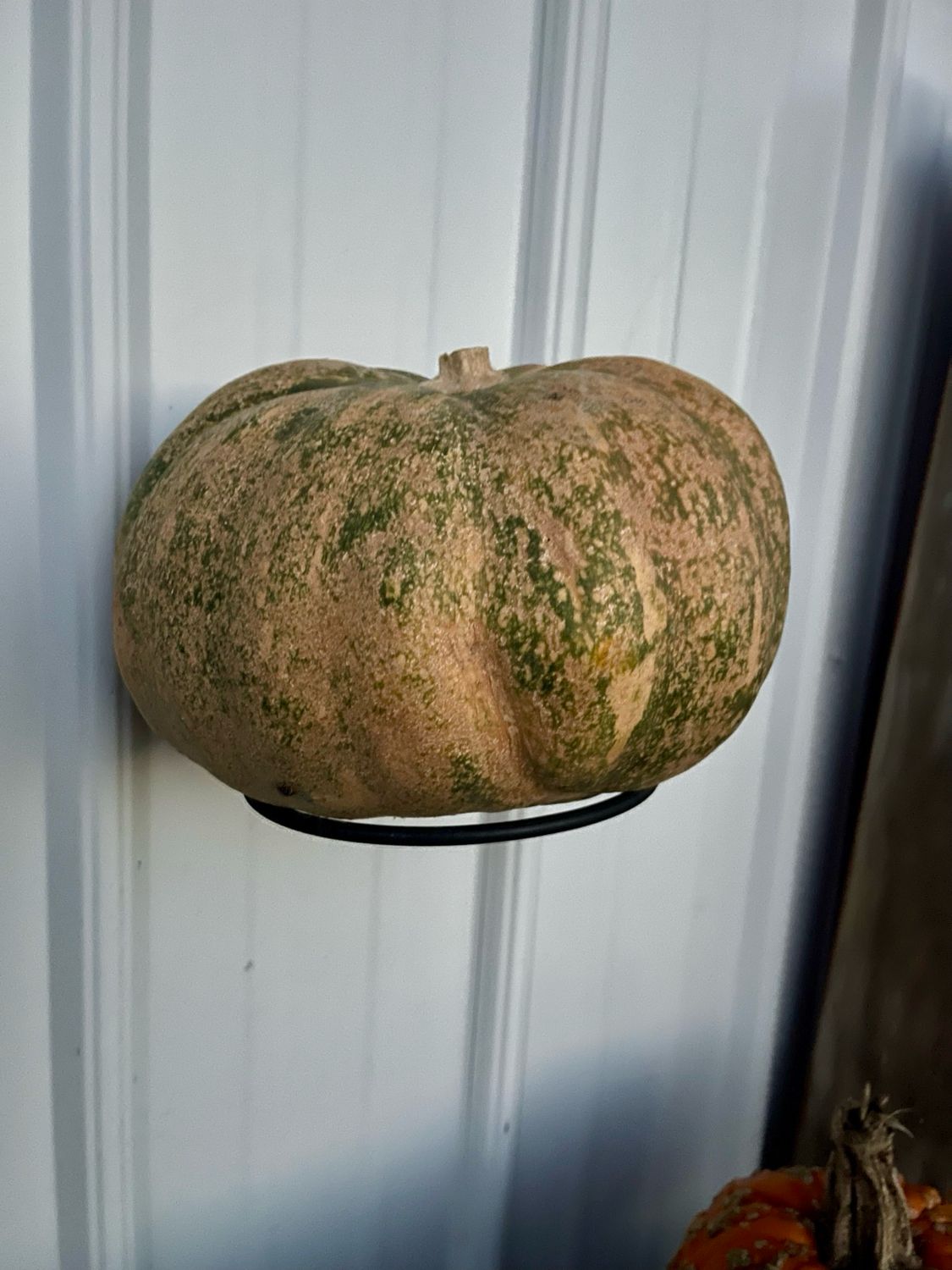 Pumpkin Holders