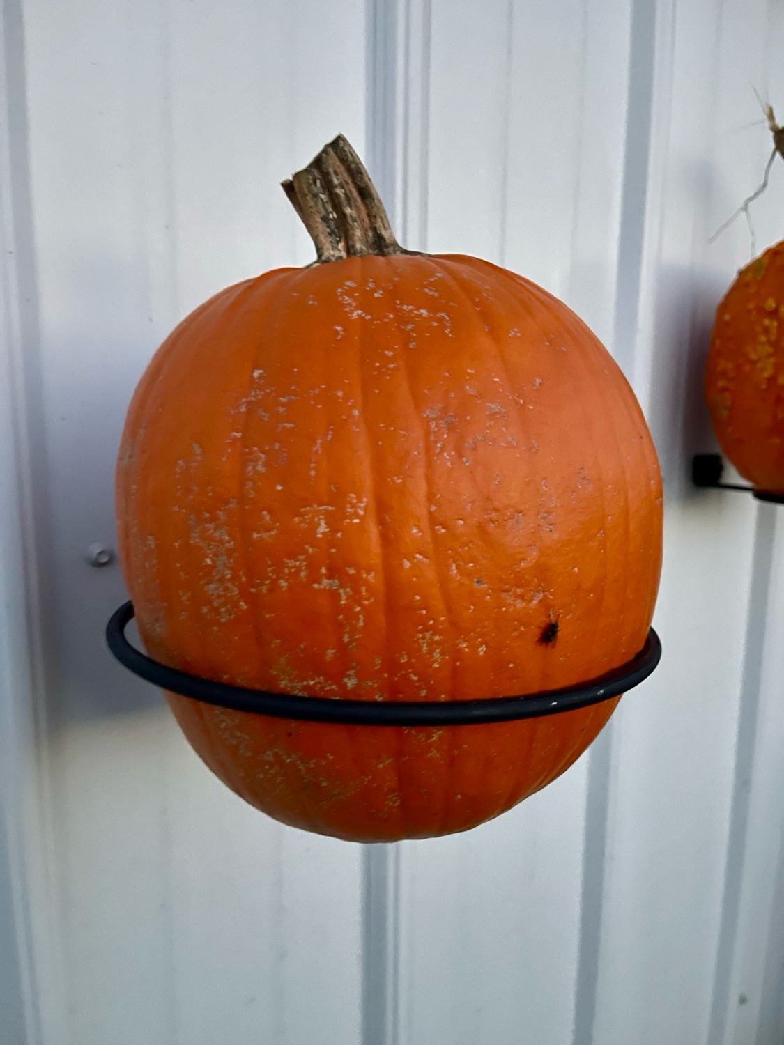 Pumpkin Holders