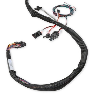 LS2/3/7+ (58x/4x) Engine Main Harness Extended Length

LS2/3/7+ (58x/4x) Engine Main Harness for HP EFI & Dominator EFI