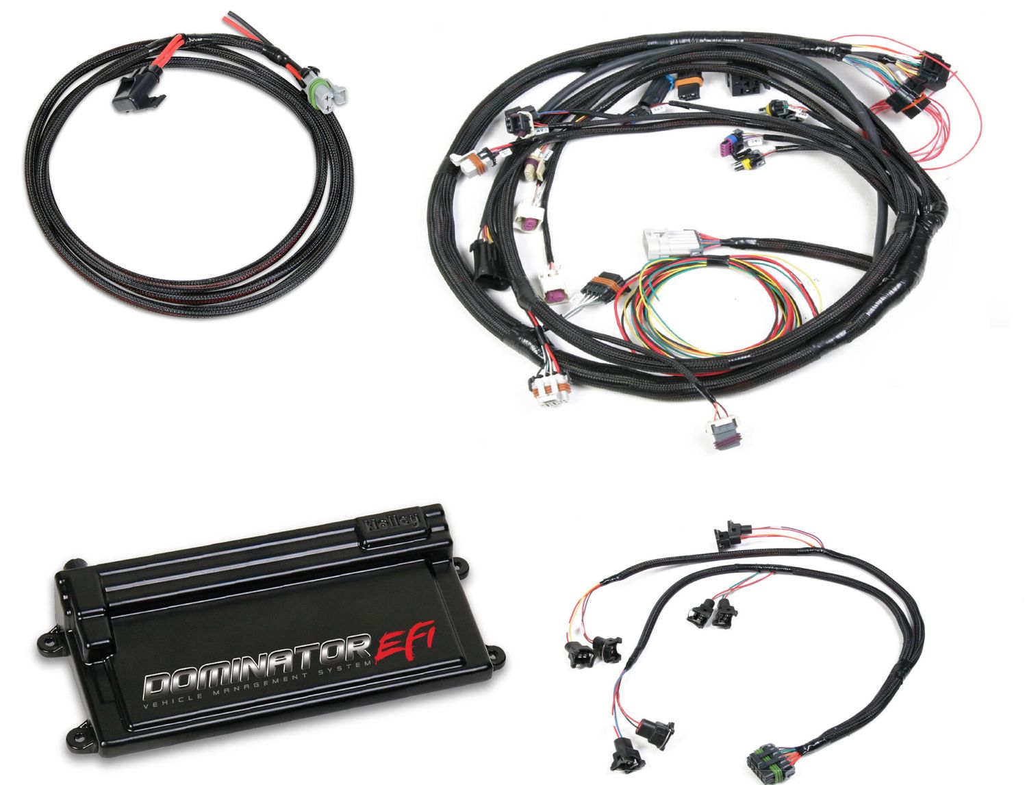 Dominator EFI Kit - LS2 Main Harness with EV1 Injector Harness  Fits GM LS 58x Crank, 4x Cam - 4.8/5.3/6.0 style Engines with EV1 Injectors
