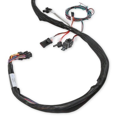 LS2/3/7+ (58x/4x) Engine Main Harness Extended Length  LS2/3/7+ (58x/4x) Engine Main Harness for HP EFI &amp; Dominator EFI