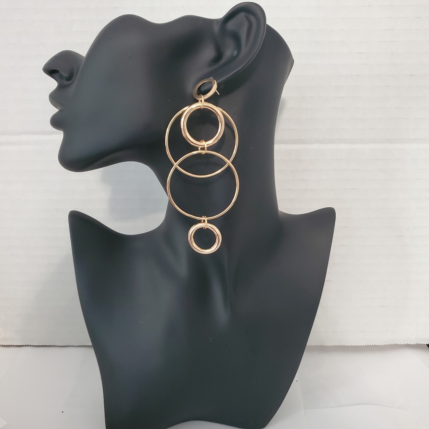 Big Hoop Luxury Earrings 