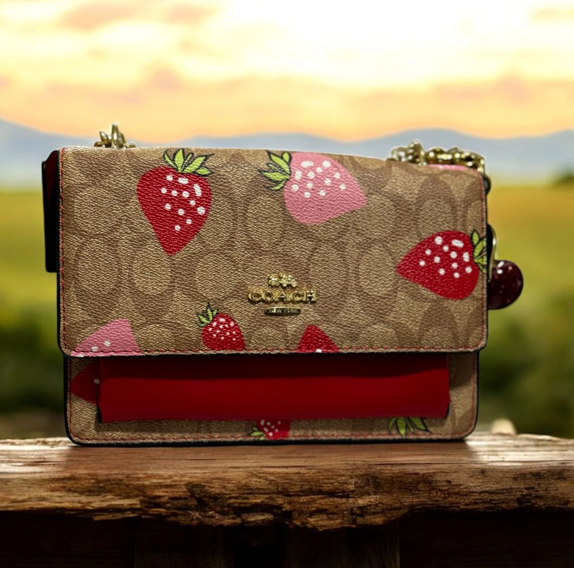 Strawberry Coach Bag