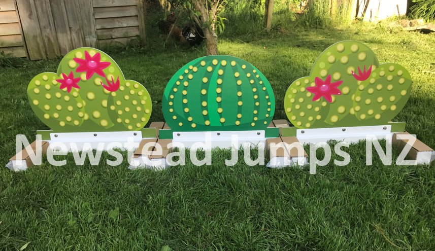 Cactus Set