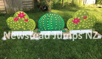 Cactus Set