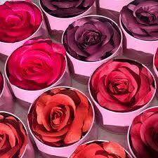 Blushing Blushes Vol 1