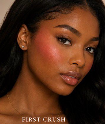 Air Blush Artist Pallet