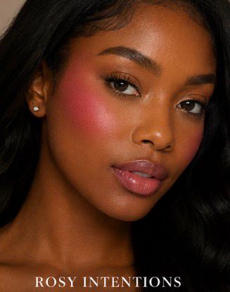 Air Blush Artist Pallet