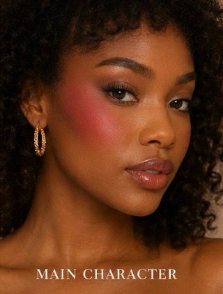 Air Blush Artist Pallet