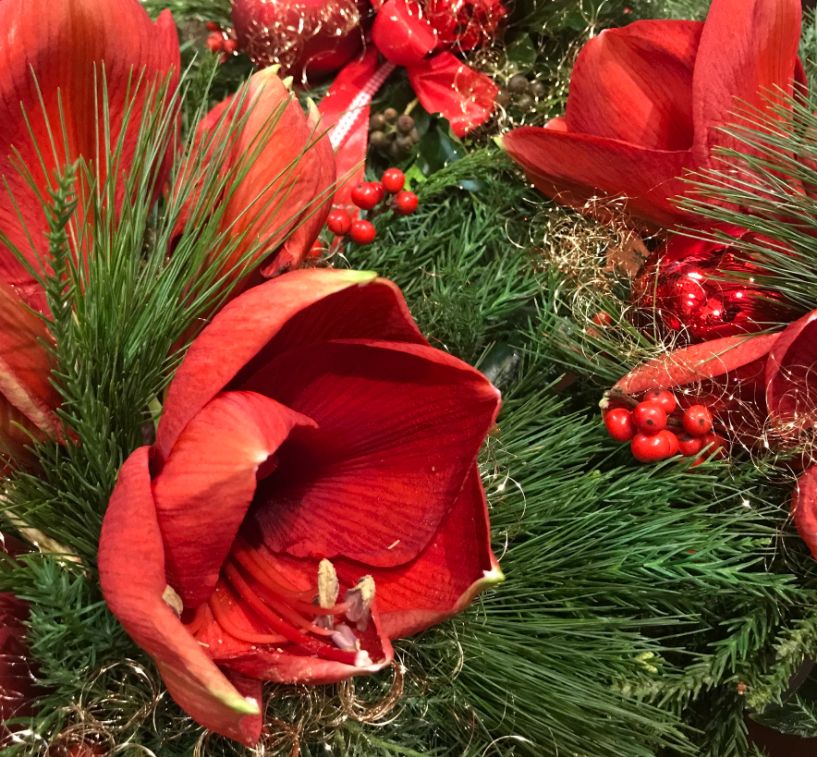 Strauß Amaryllis kurz gebunden - ab 34,90 Strauß Amaryllis kurz gebunden - ab 34,90