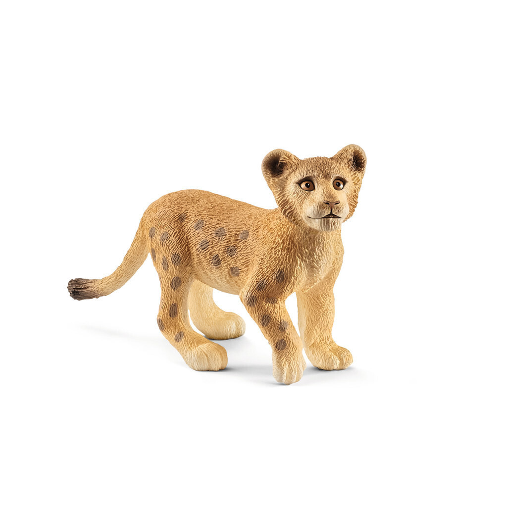 Wild Life - Lion Cub