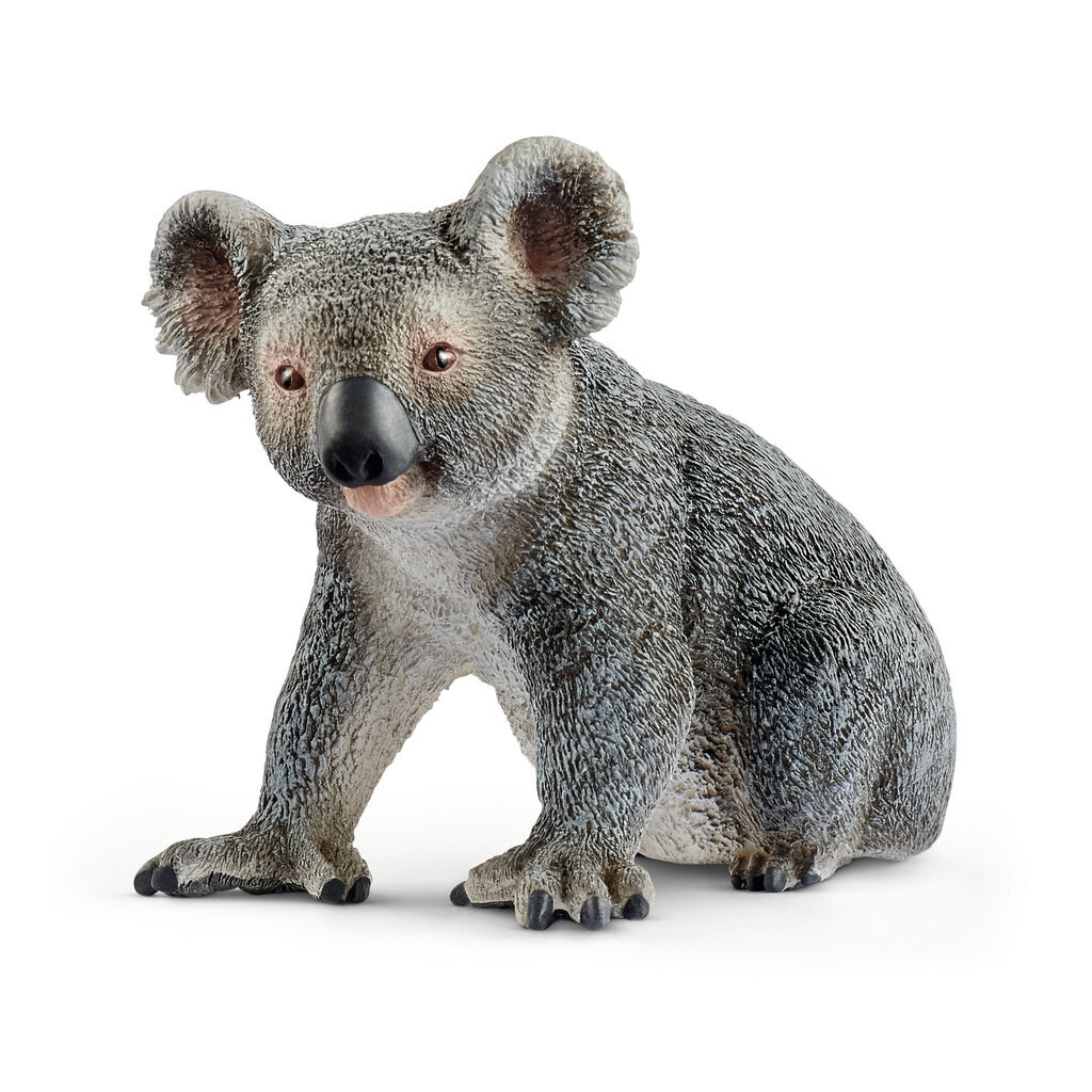 Wild Life - Koala Bear