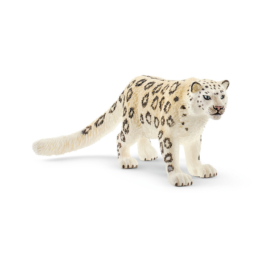 Wild Life - Snow Leopard