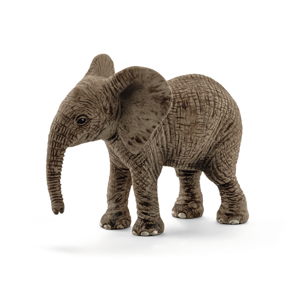 Wild Life - African Elephant, Calf