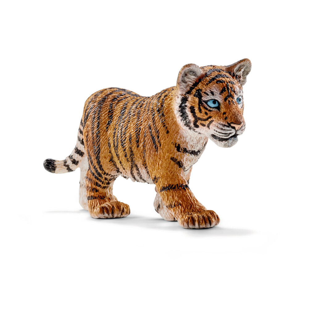 Wild Life - Tiger Cub