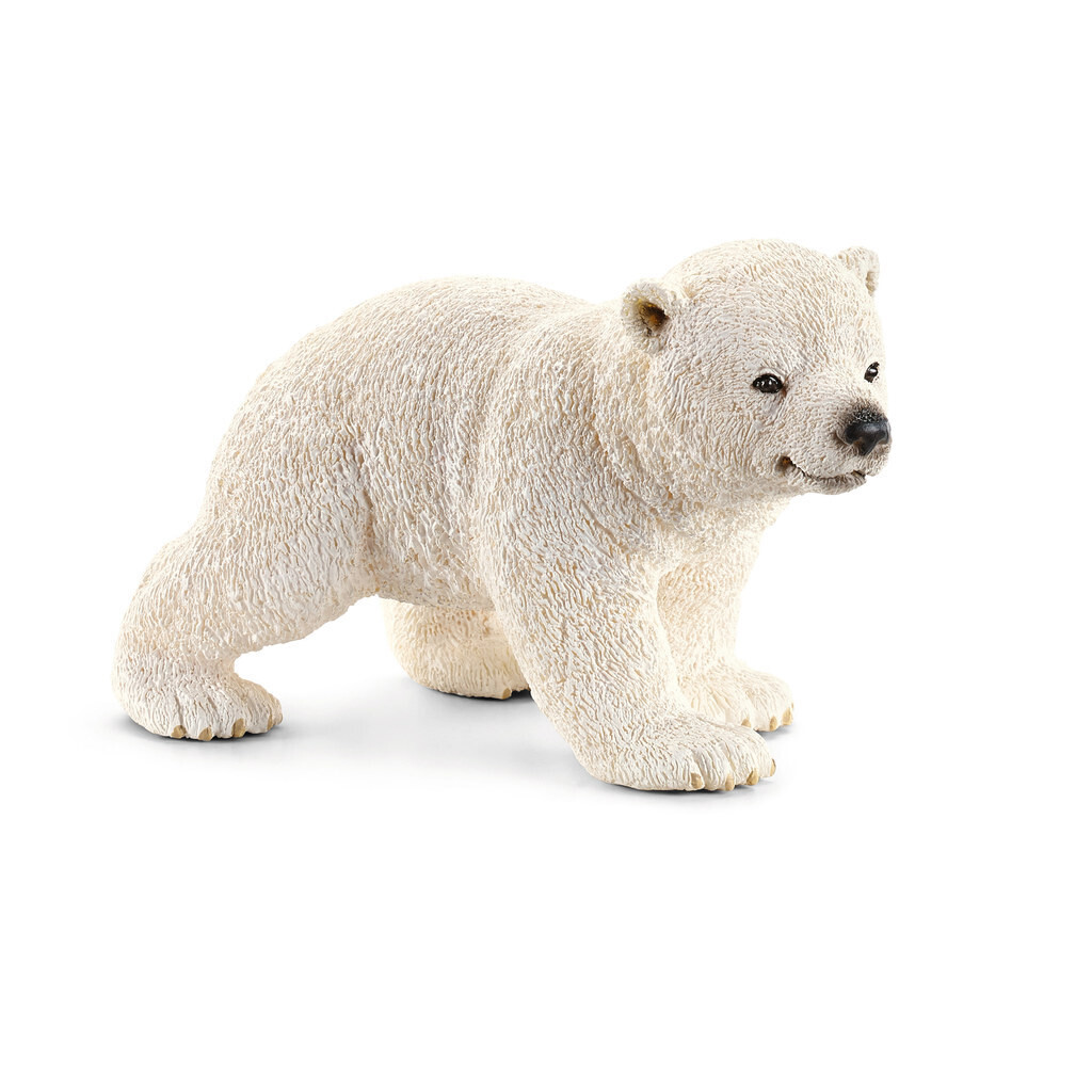 Wild Life - Polar Bear Cub, Walking