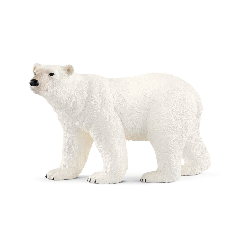 Wild Life - Polar Bear