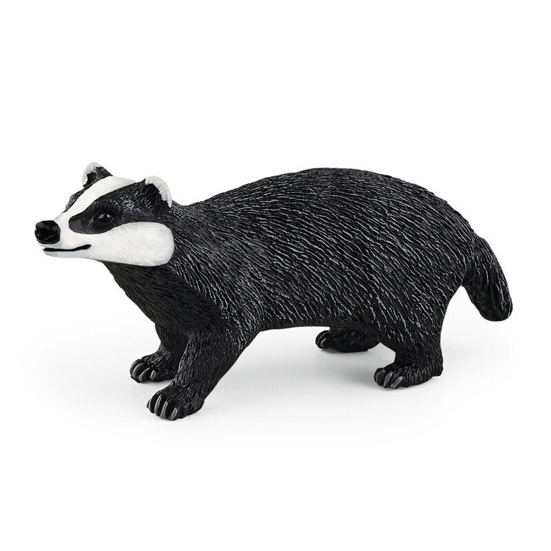 Wild Life - Badger