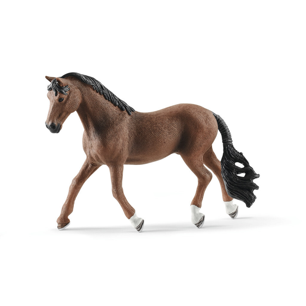 Horse Club - Trakehner Gelding
