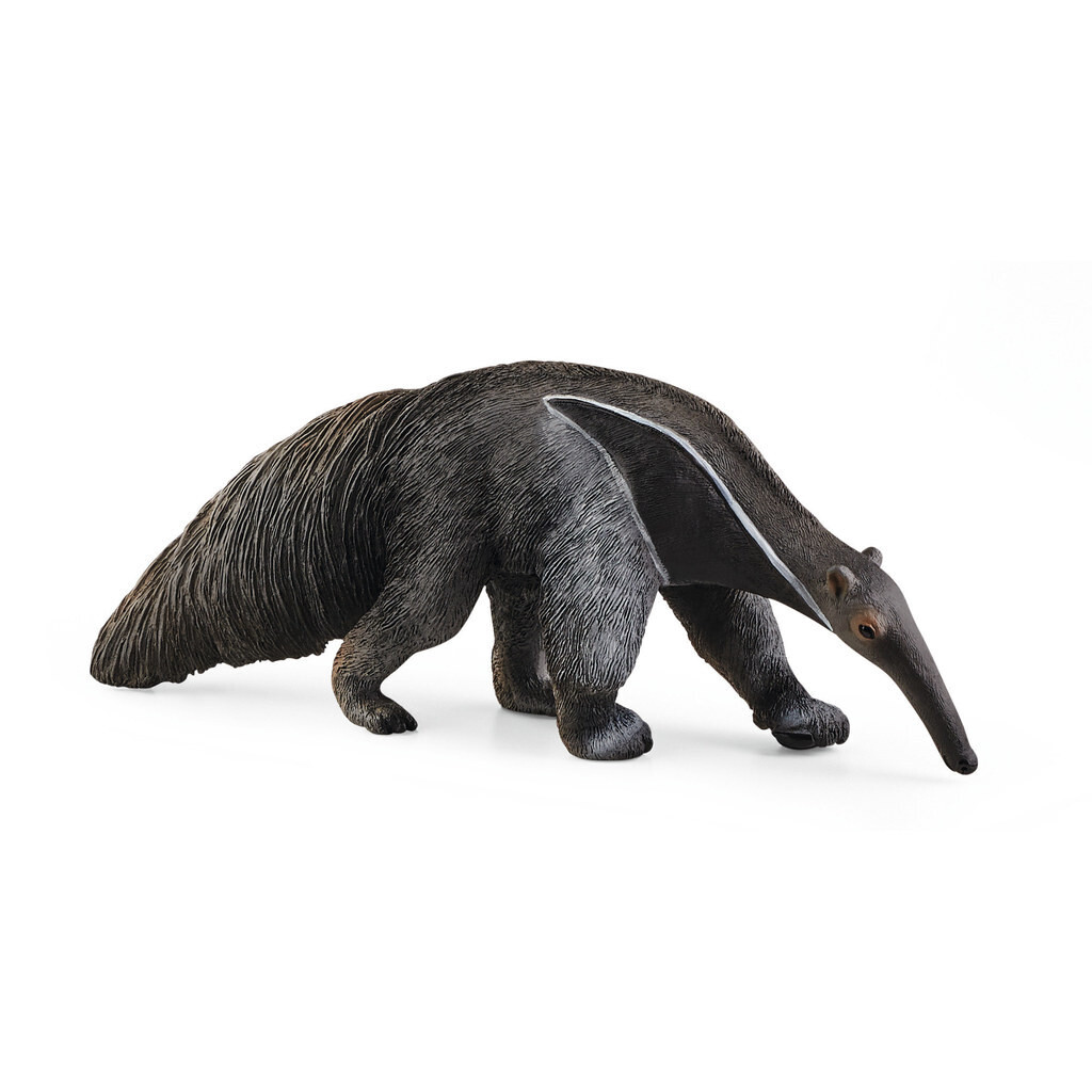 Wild Life - Anteater