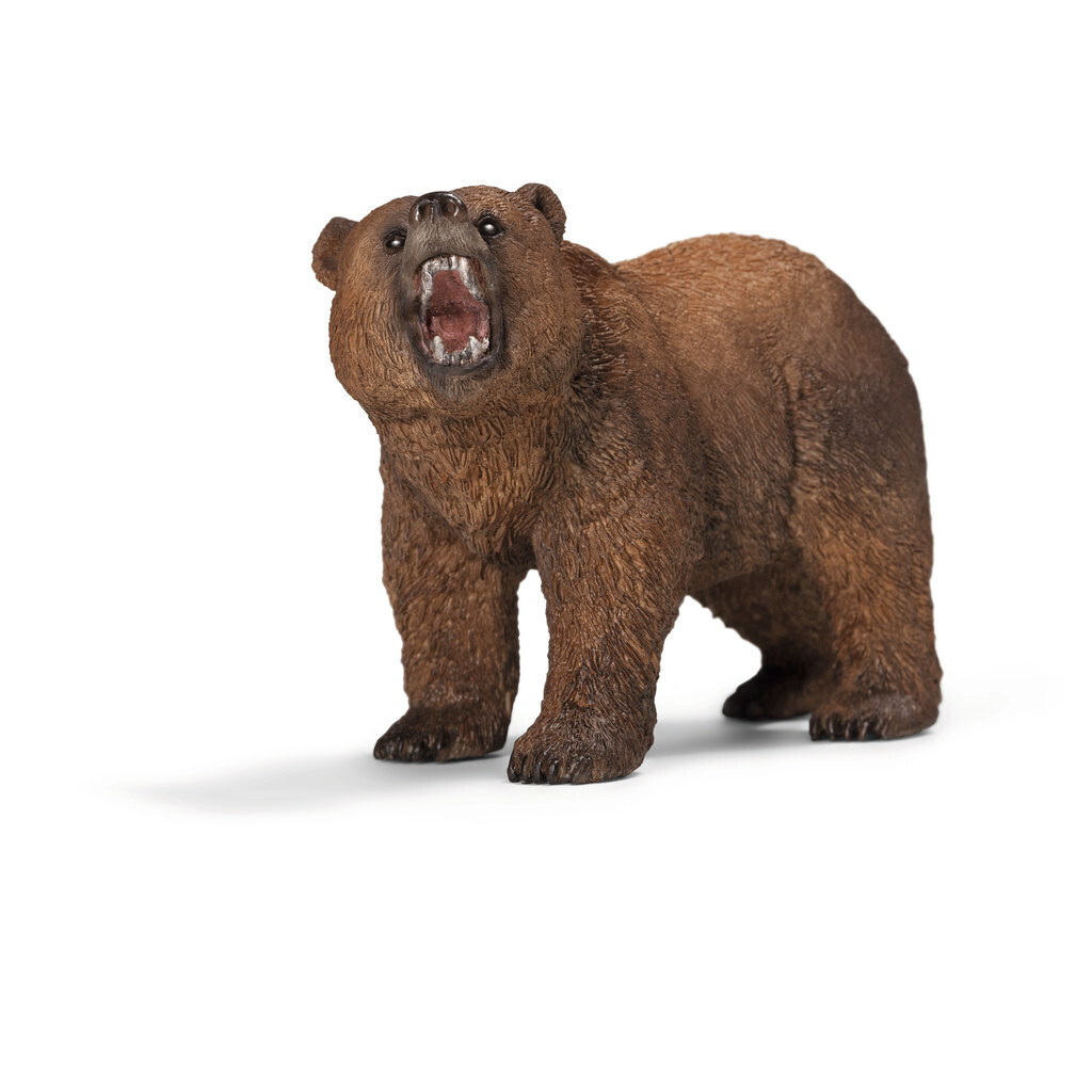 Wild Life - Grizzly Bear