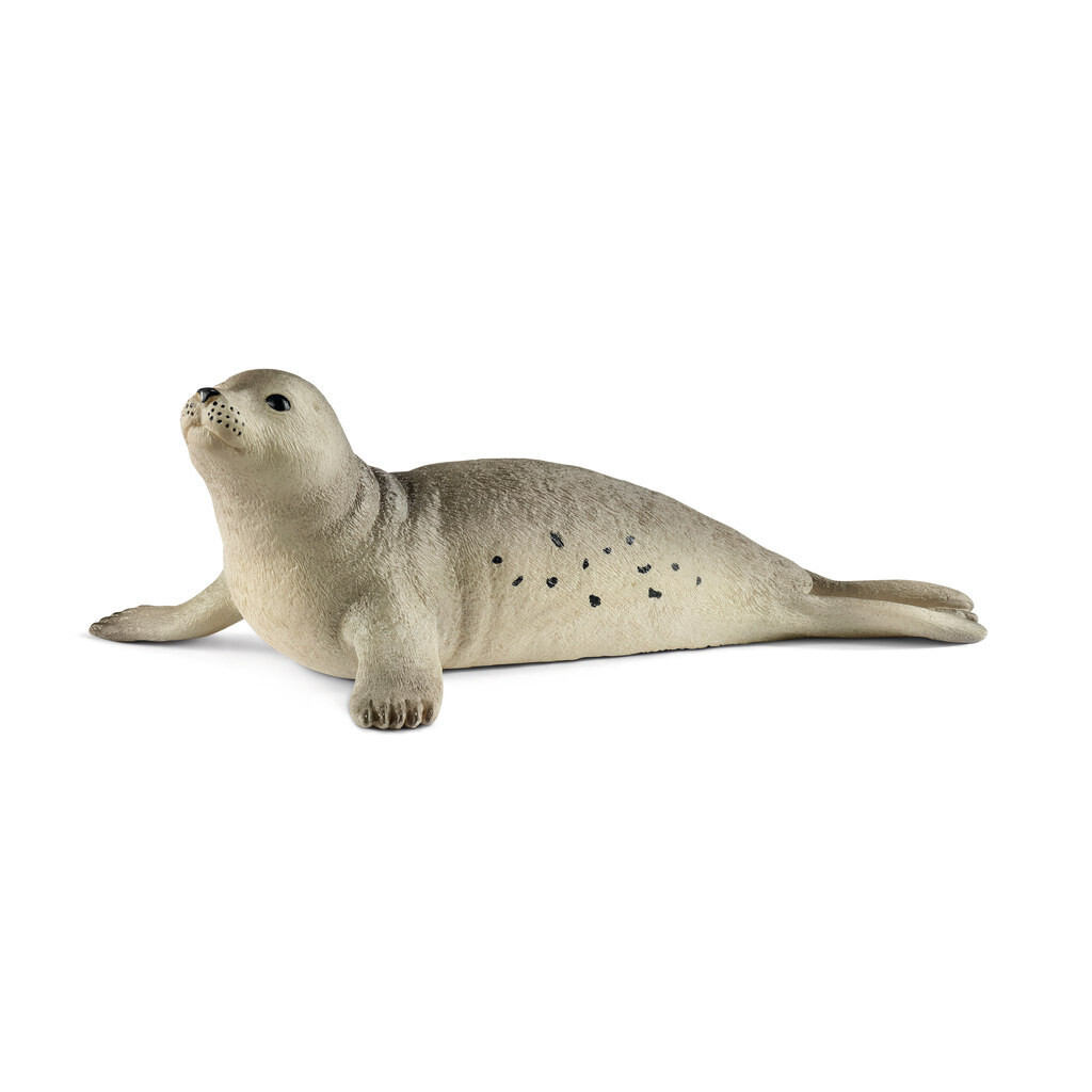 Wild Life - Seal