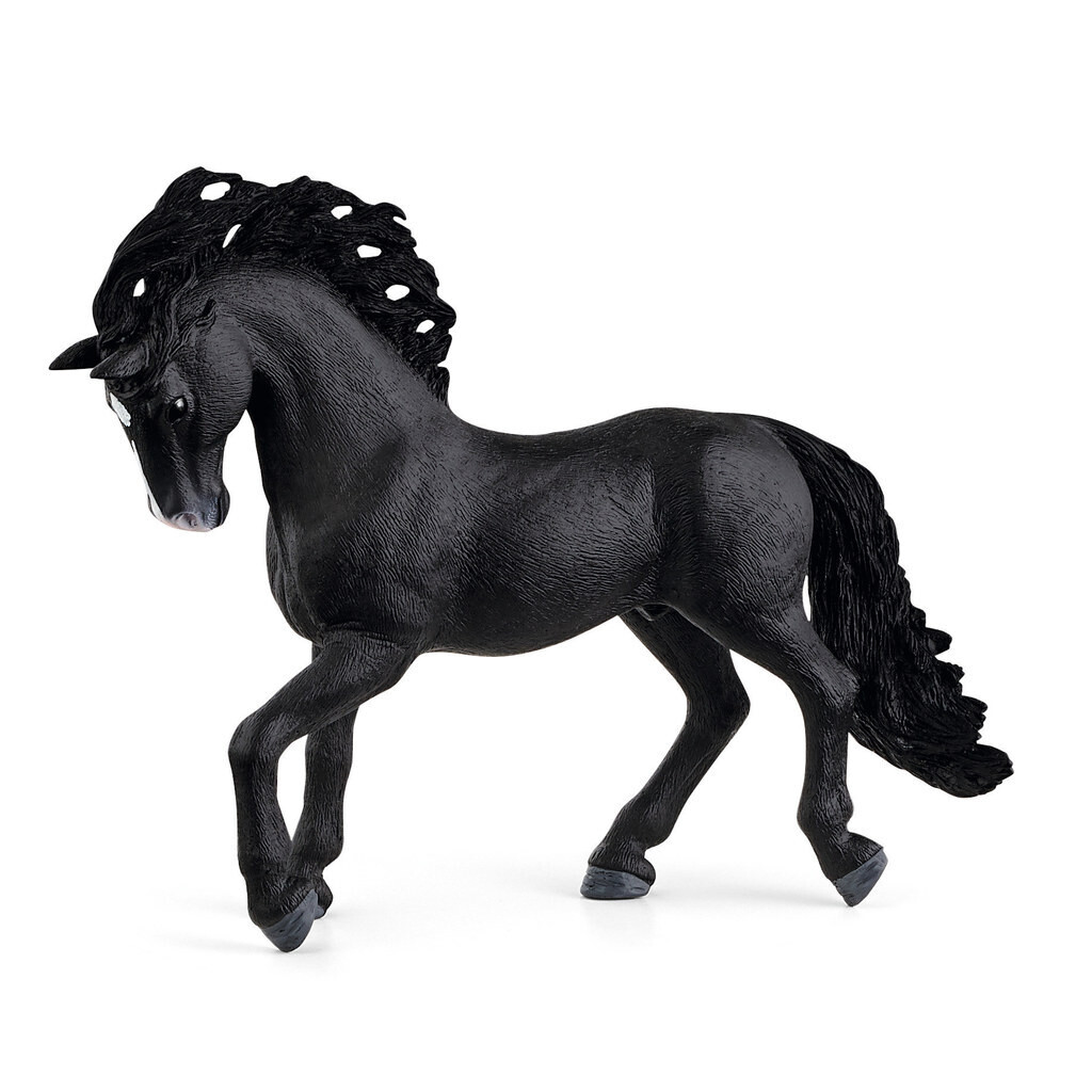 Horse Club - Pura Raza Española Stallion