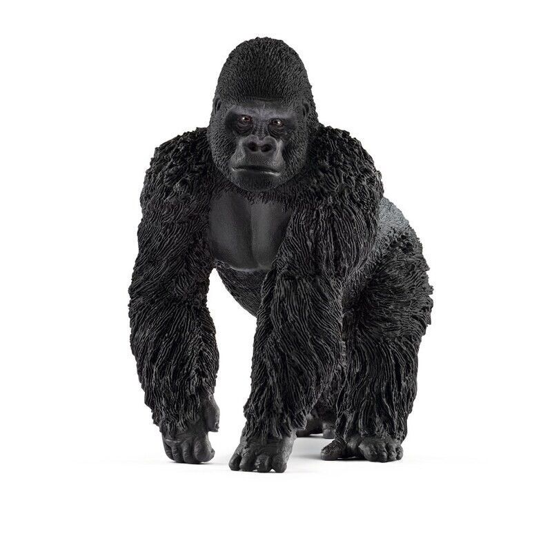 Wild Life - Gorilla, male