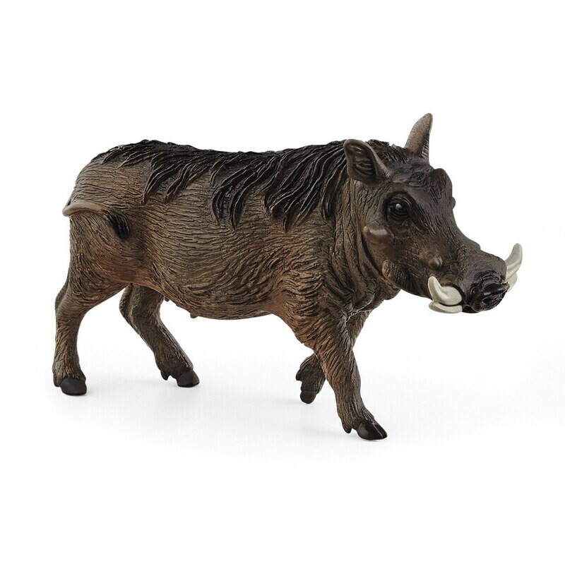 Wild Life - Warthog