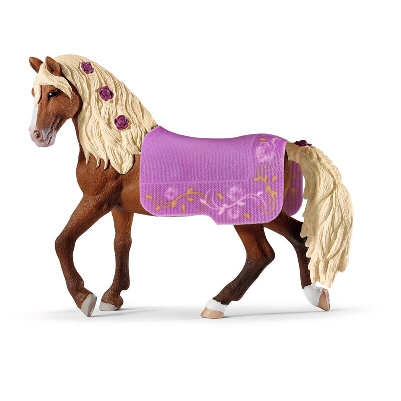 Horse Club - Paso Fino Stallion Horse Show