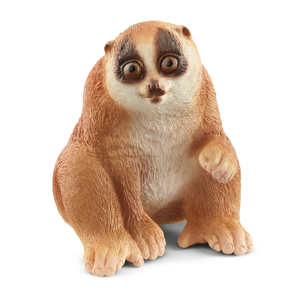 Wild Life - Slow Loris