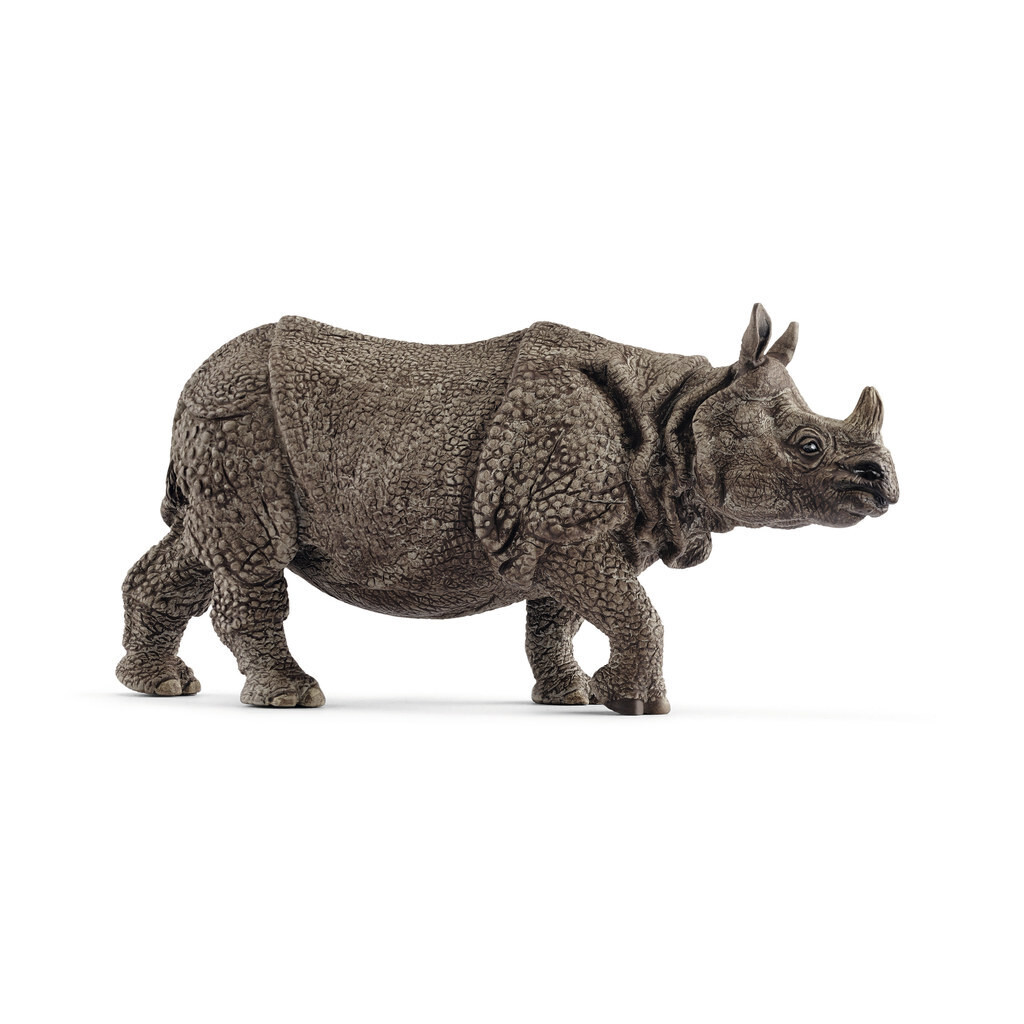 Wild Life - Indian Rhinoceros