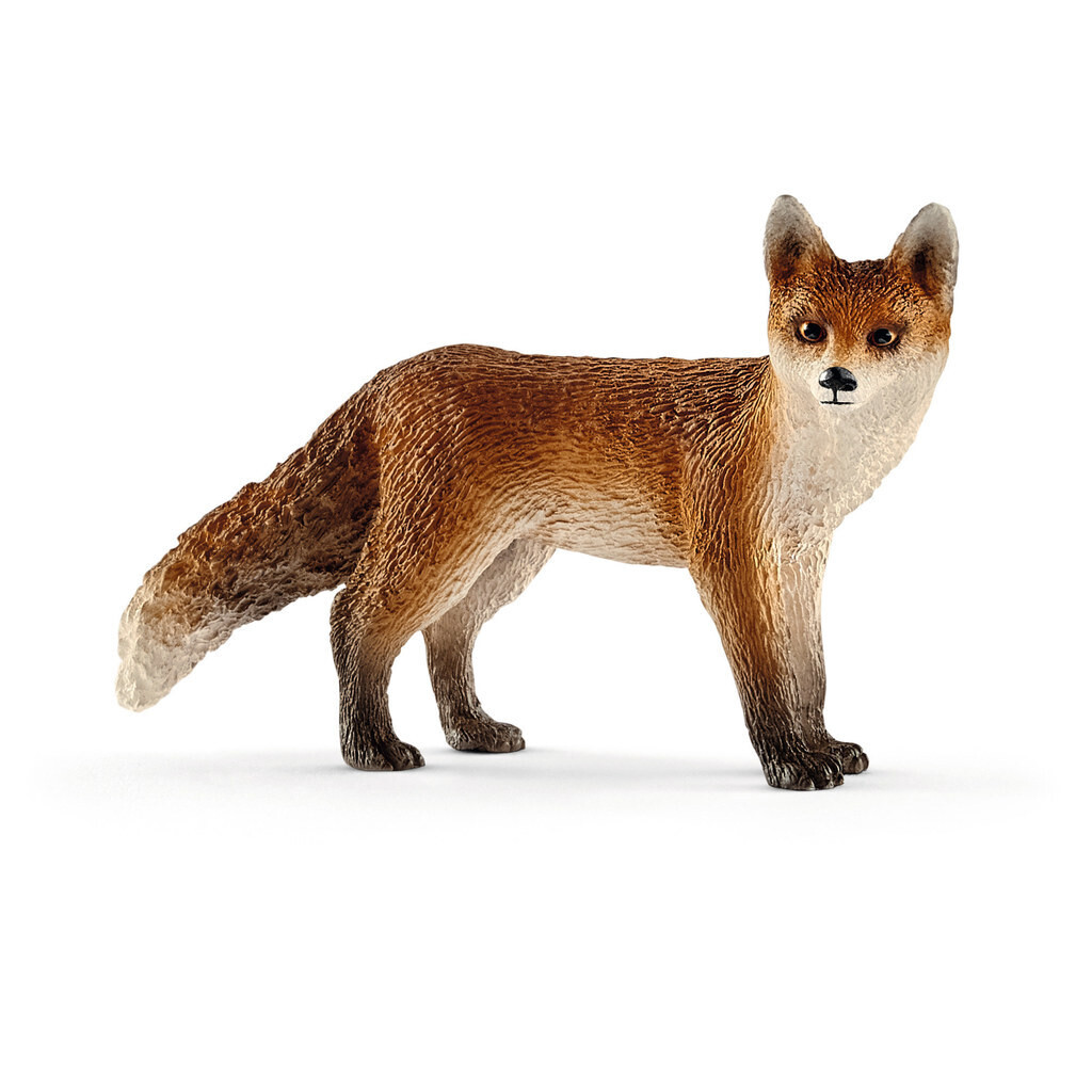 Wild Life - Fox