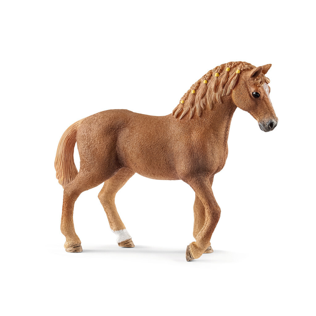 Horse Club - Quarter Horse Mare